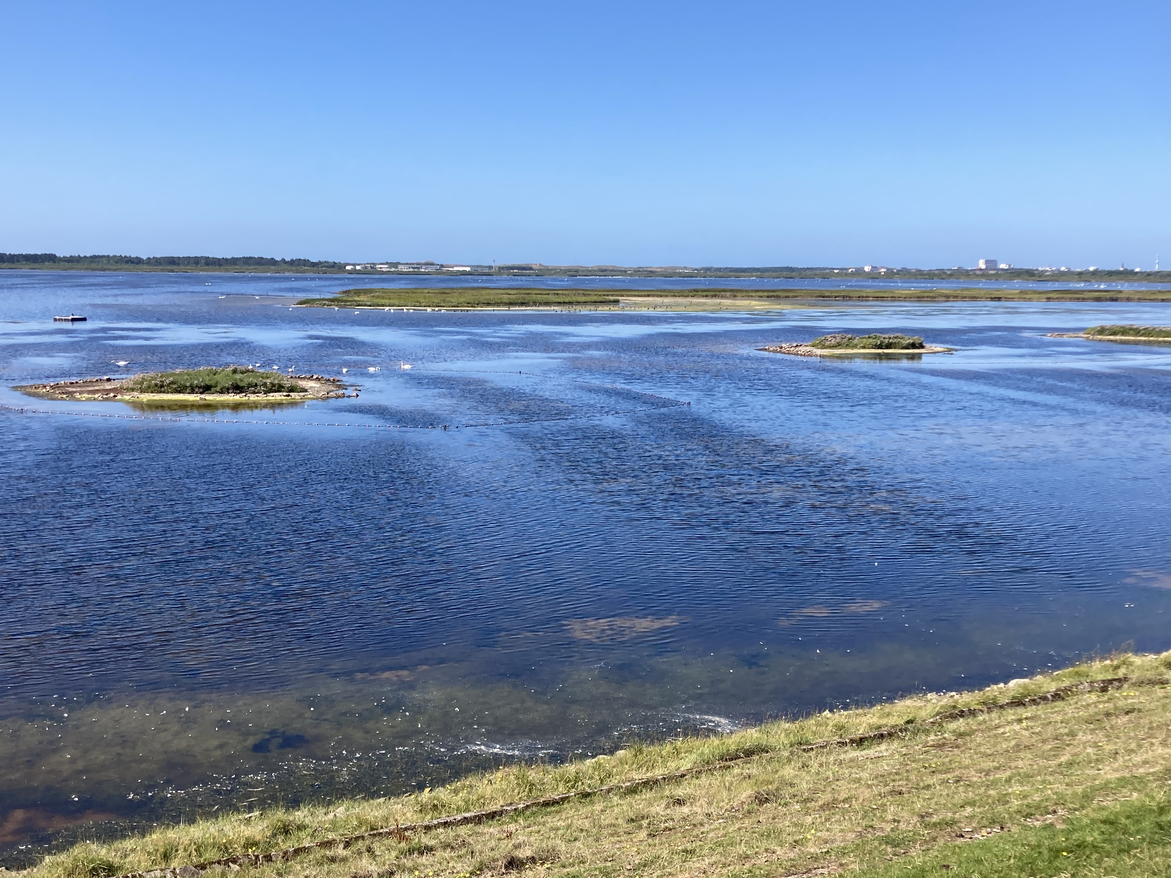 Westerhörn, Sylt nach Westerhörn, Sylt