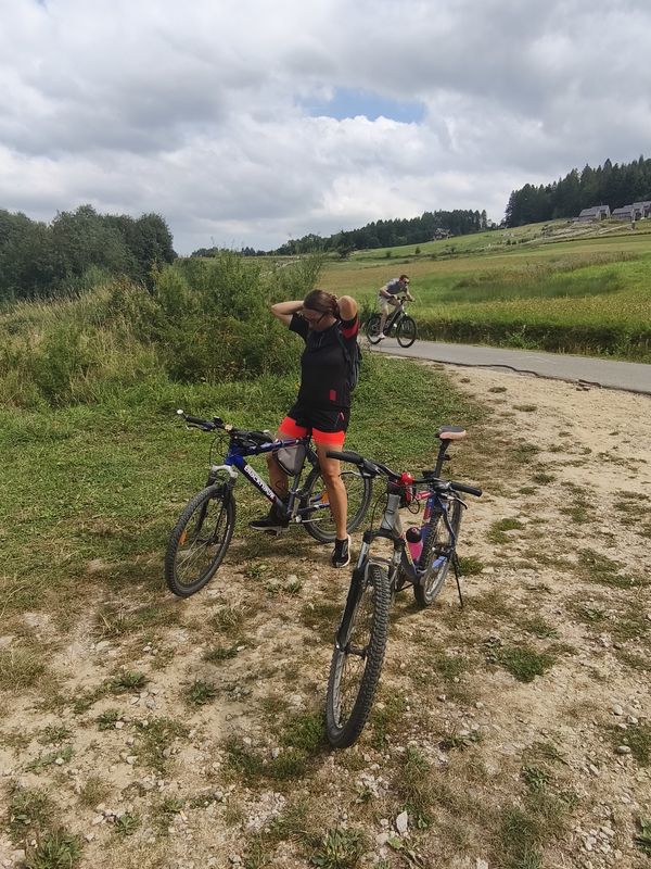 Haligovce do Mostisko