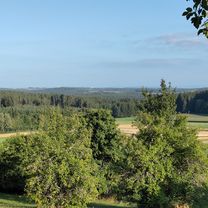 Mindersbacher Höhe nach Friedrich-Münch-Weg