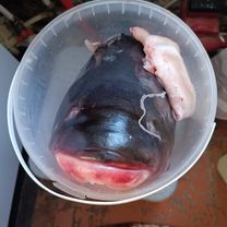 латУверенная езда