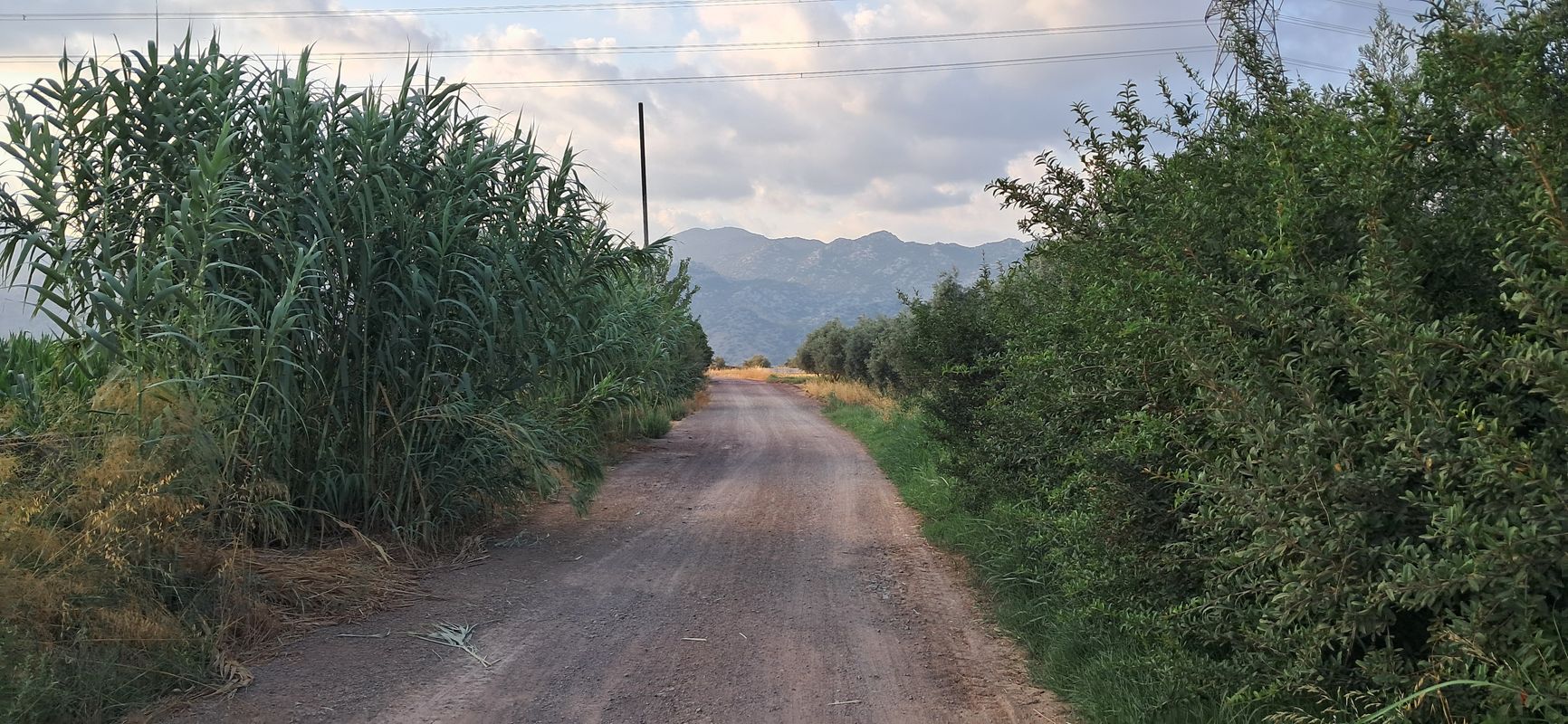 Kovanlık 2