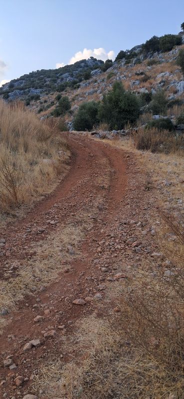 Kovanlık 2