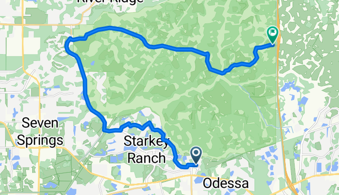 From Odessa to Land of Lakes