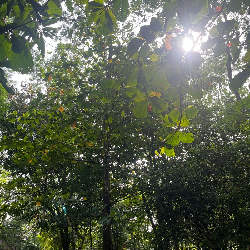 Jalan Daan Mogot II, West Jakarta to Kembangan, West Jakarta