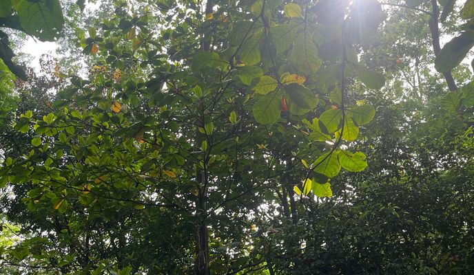 Foto 2 der Bikemap-Route "Jalan Daan Mogot II, West Jakarta to Kembangan, West Jakarta"