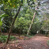 Jalan Daan Mogot II, West Jakarta to Kembangan, West Jakarta