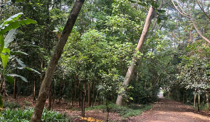 Foto 1 der Bikemap-Route "Jalan Daan Mogot II, West Jakarta to Kembangan, West Jakarta"