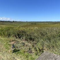 Strandstraße, Graal-Müritz nach Strandstraße, Graal-Müritz