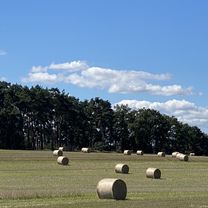 Photo 7 de l’itinéraire Bikemap « Rathenow nach Am Schlangenhorst, Nauen »