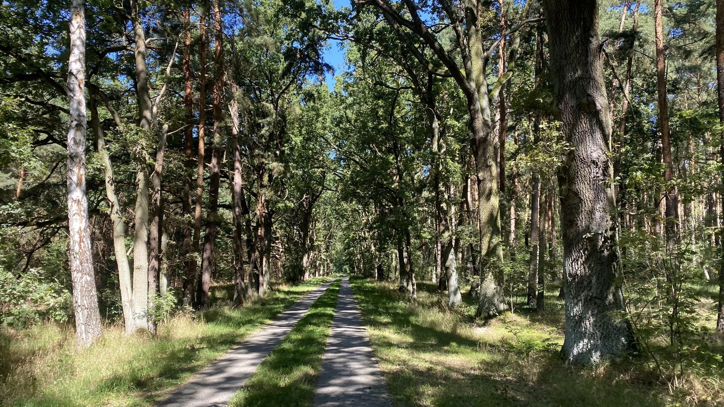 Rathenow nach Am Schlangenhorst, Nauen