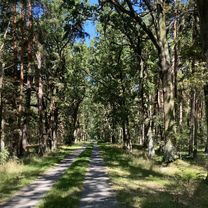 Rathenow nach Am Schlangenhorst, Nauen
