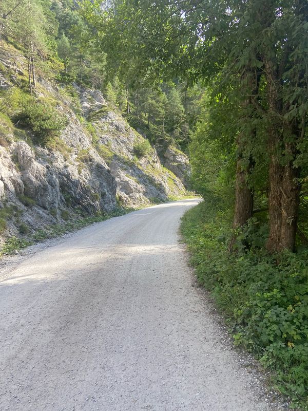 Via Alpi Giulie, Tarvisio a Via Alpi Giulie, Tarvisio