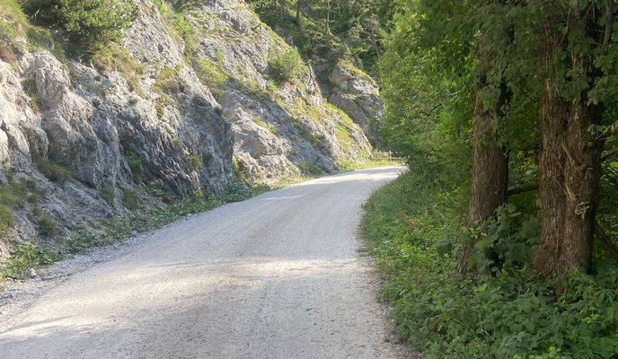 Foto 2 der Bikemap-Route "Via Alpi Giulie, Tarvisio a Via Alpi Giulie, Tarvisio" Foto 2 der Bikemap-Route "Via Alpi Giulie, Tarvisio a Via Alpi Giulie, Tarvisio"