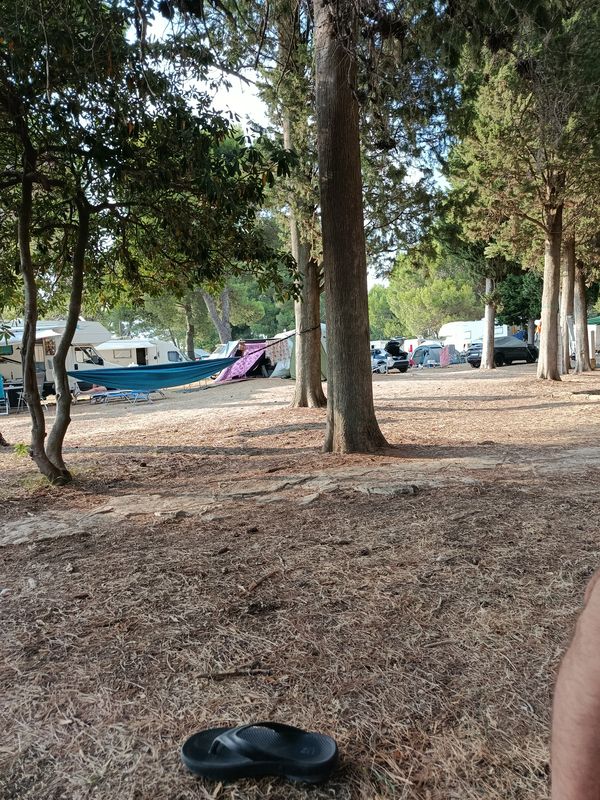 Camp Pineta-Rovinj