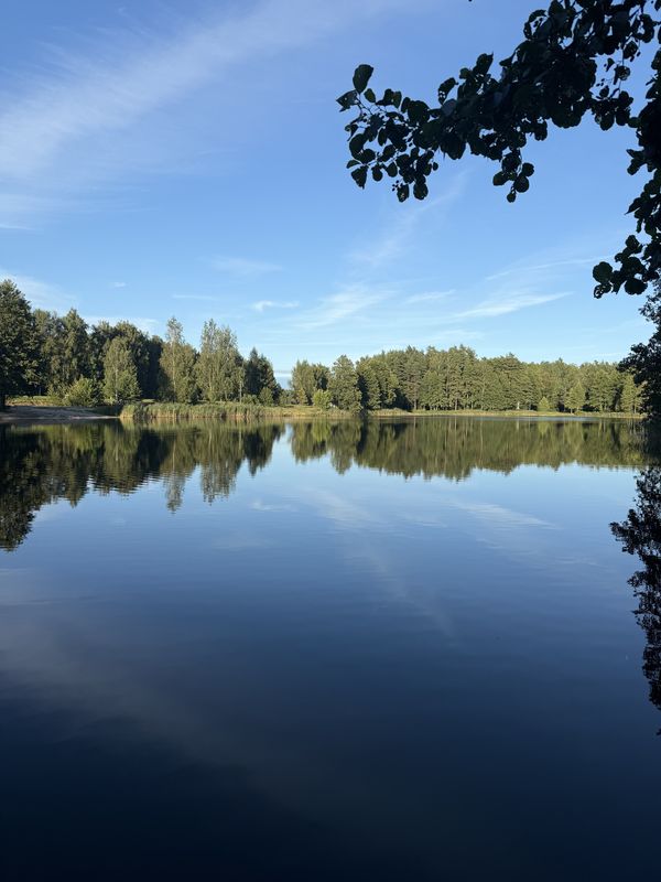 Stacijas iela, Olaine до Zeiferta iela, Olaine