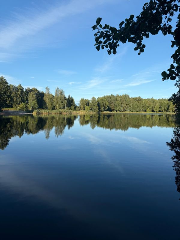 Stacijas iela, Olaine до Zeiferta iela, Olaine