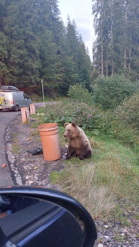 Strada Ciocârliei - Strada Ciocârliei