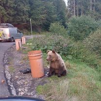 Strada Ciocârliei - Strada Ciocârliei