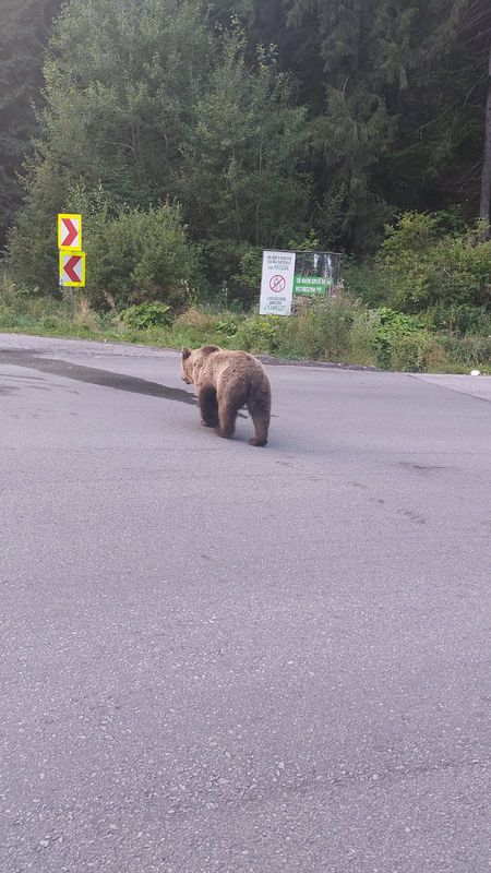 Strada Ciocârliei - Strada Ciocârliei