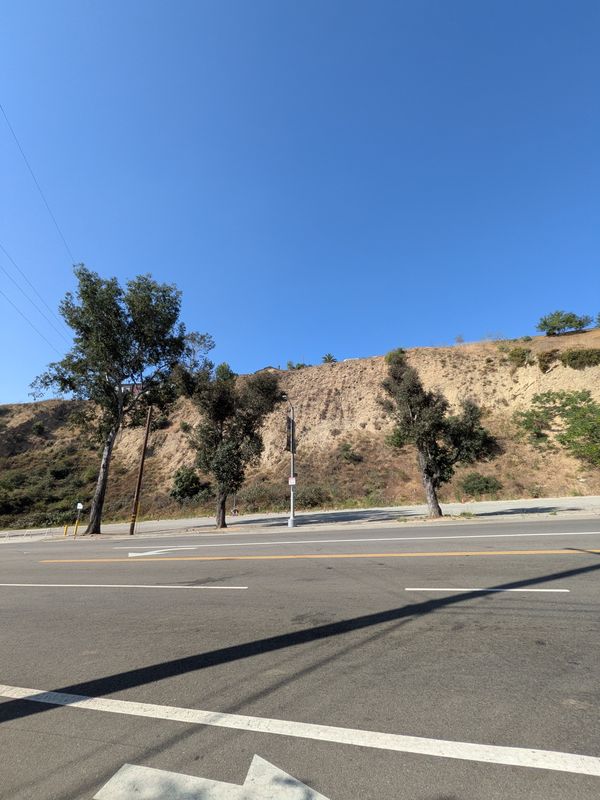 North Cummings Street to Walton Avenue