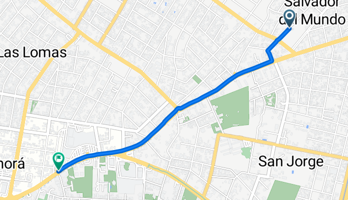 Eloy Páez, Assunção a Avenida Aviadores del Chaco, Assunção