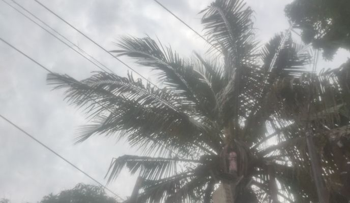 Foto 1 der Bikemap-Route "pop KFC -jln Pramuka lama"