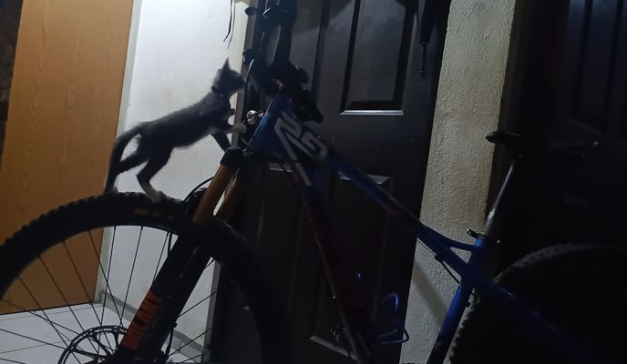 Photo 2 of the Bikemap route "Ruta a Calle Iris"