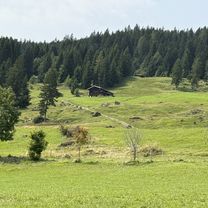 Foto 8 der Bikemap-Route "Grosse Summerwald Tour, Lenk im Simmental"
