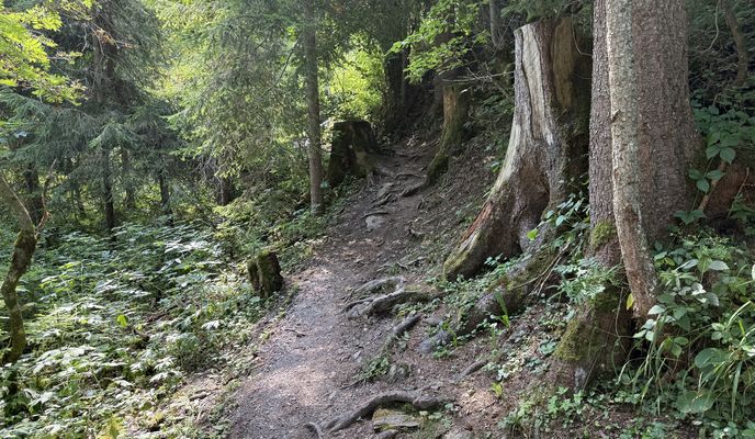 Foto 2 der Bikemap-Route "Grosse Summerwald Tour, Lenk im Simmental"