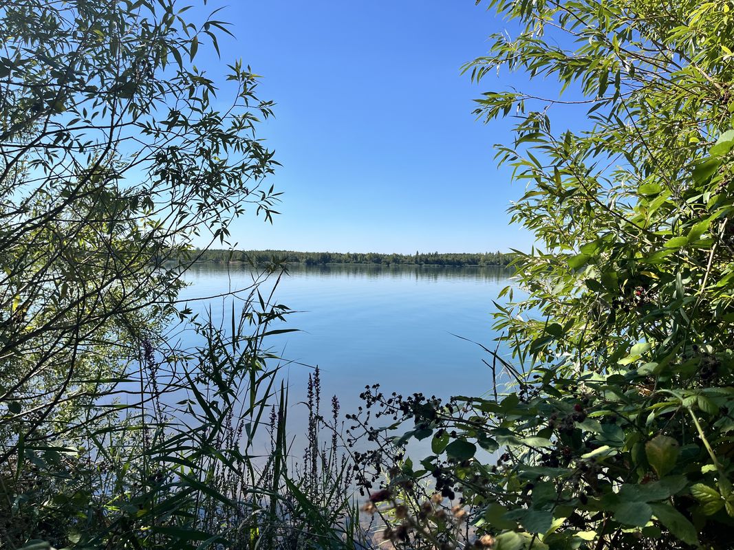 Siedlung Goldene Höhe, Markkleeberg nach Am Wolfswinkel, Markkleeberg