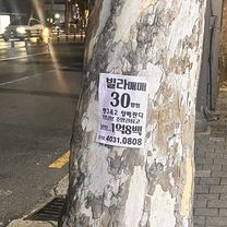 남산로7길, 대구광역시에서 남산동, 대구광역시까지