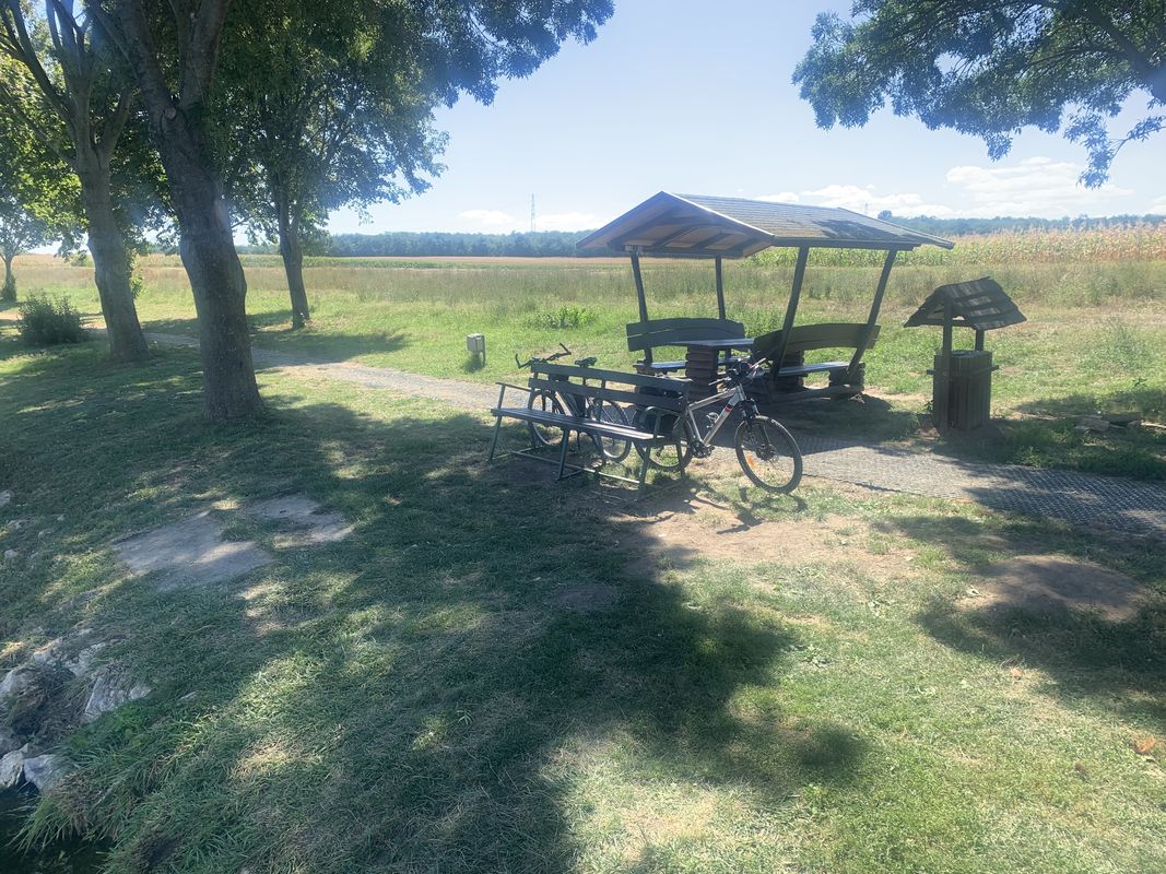 Majki utca, Oroszlány - 8119-es mellékút, Oroszlány