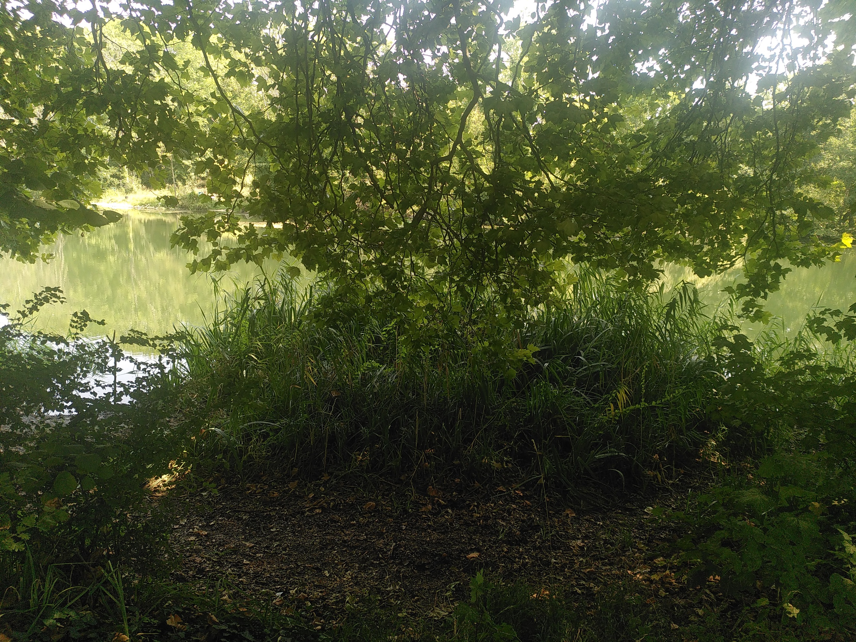 Cepoy, Moret-Loing-et-Orvanne