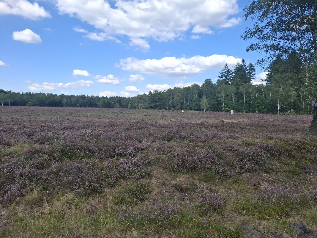 Elburg - Wezep - Heerde - t Harde - Elburg