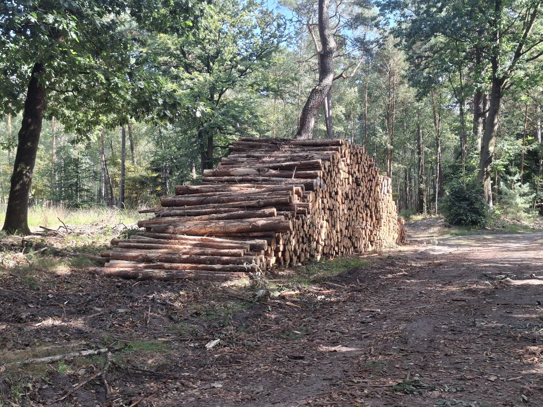 Elburg - Wezep - Heerde - t Harde - Elburg