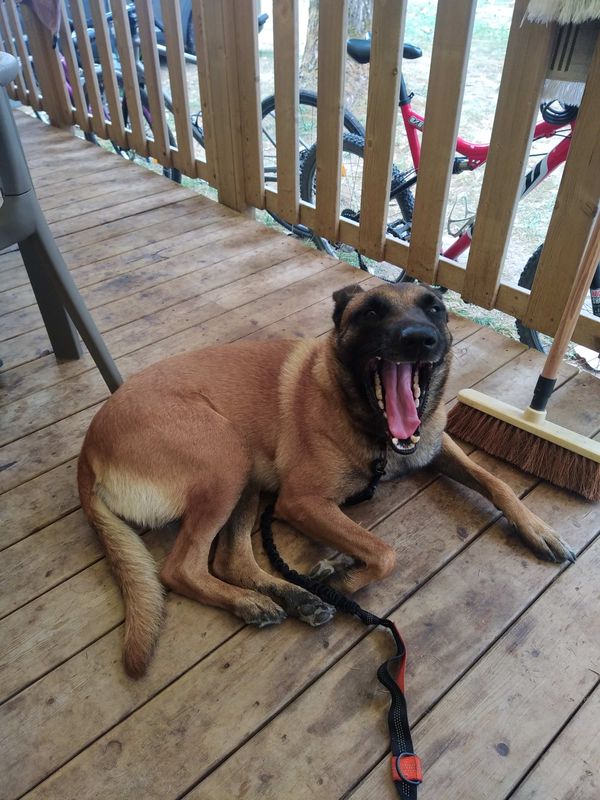 De Boulevard de Gatseau à Rue des Trois Pierres