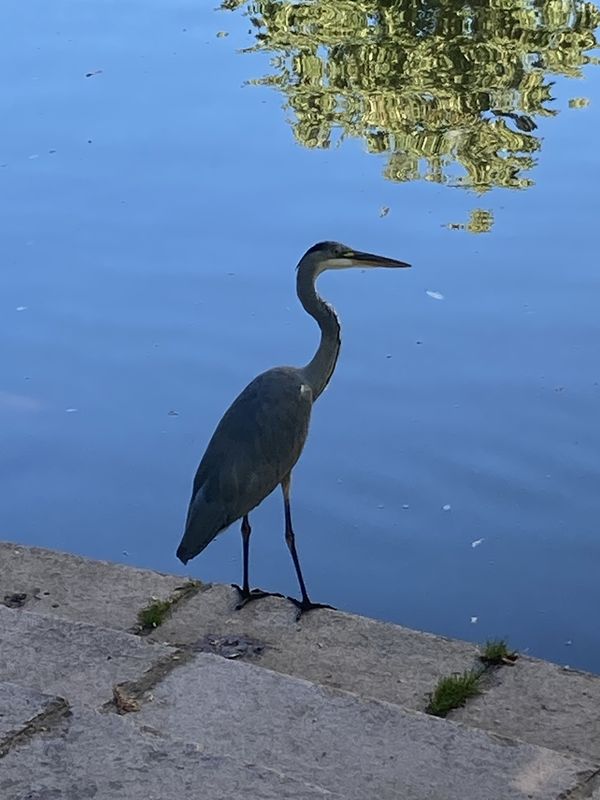 Wasserschloßweg nach Chemnitz Kulturhauptstadt Europa 2025