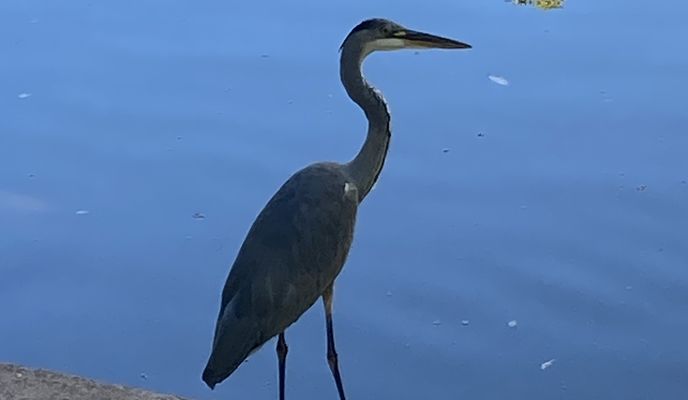 Foto 2 der Bikemap-Route "Wasserschloßweg nach Chemnitz Kulturhauptstadt Europa 2025"