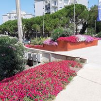 Route to Camping Village Mare Pineta