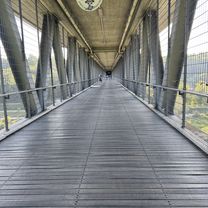 Oefelestraße, München nach Falkenstraße, München