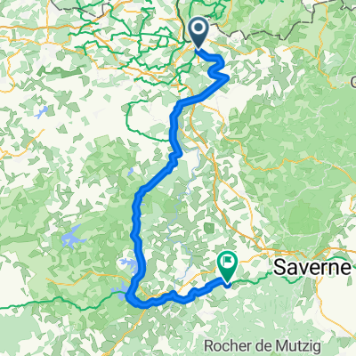 6 sarreaugimes - arzviller