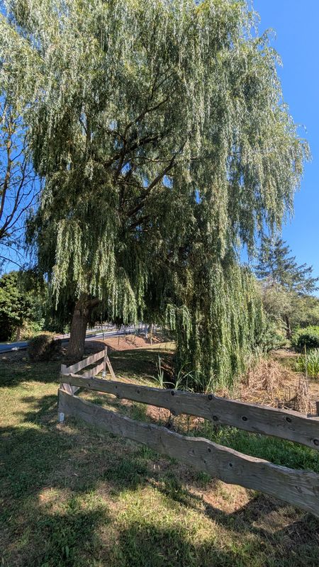 Route nach Karlsplatz