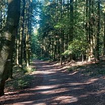 Zdjęcie 7 trasy Bikemap „Šumavská do Úzká”