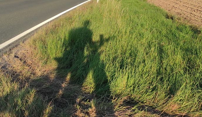 Photo 1 of the Bikemap route "leinawald"