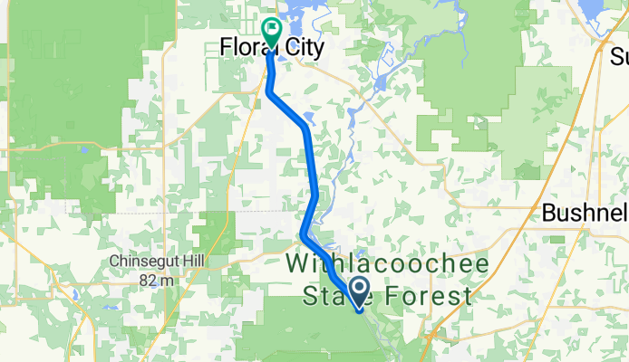 Croom Rital Rd, Brooksville to E Orange Ave, Floral City