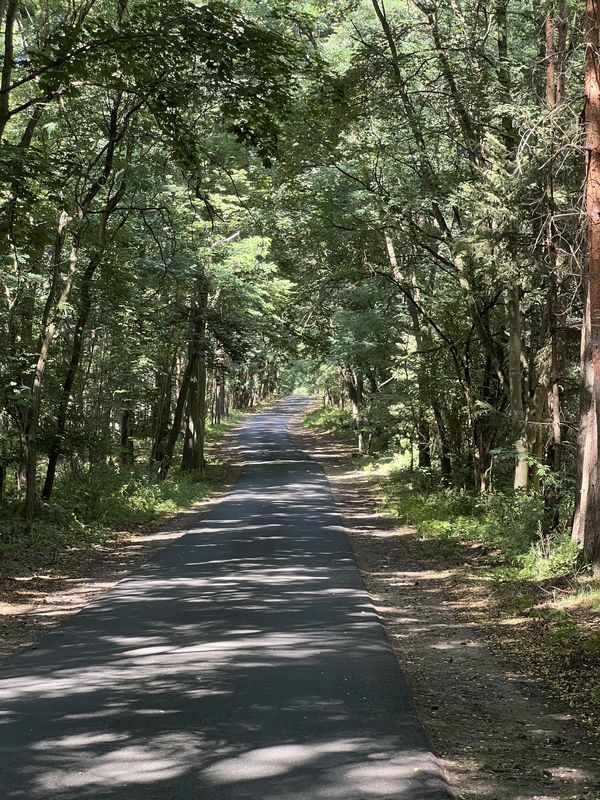 Bernauer Straße, Oranienburg nach Hanns-Krause-Weg, Stechlin