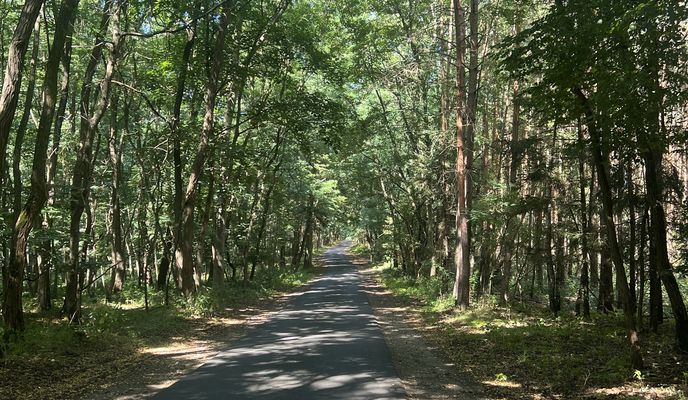 Photo 2 of the Bikemap route "Bernauer Straße, Oranienburg nach Hanns-Krause-Weg, Stechlin"