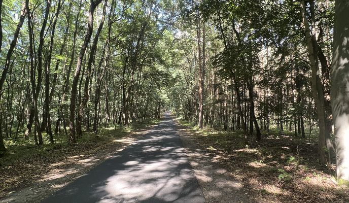 Photo 1 of the Bikemap route "Bernauer Straße, Oranienburg nach Hanns-Krause-Weg, Stechlin"