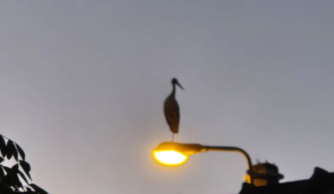 Zdjęcie 2 trasy Bikemap „Restful route”