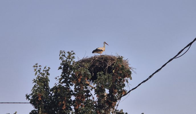 Zdjęcie 1 trasy Bikemap „Restful route”